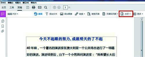 水印功能选项界面，清晰显示‘添加水印’按钮位置