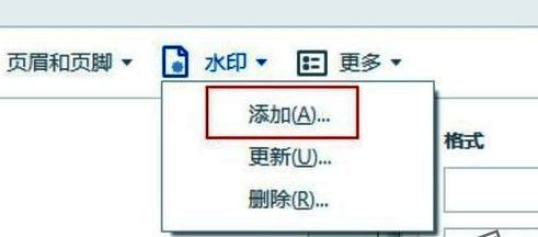 水印设置界面，展示文本输入框及字体、颜色、透明度调节选项