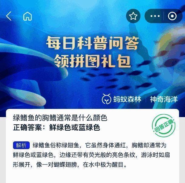 绿鳍鱼解剖示意图,标注胸鳍位置及鲜绿色特征