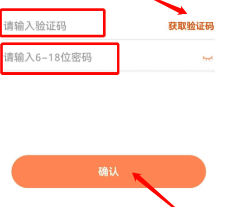 核桃编程密码设置确认页面,显示验证码输入框与新密码设置区域