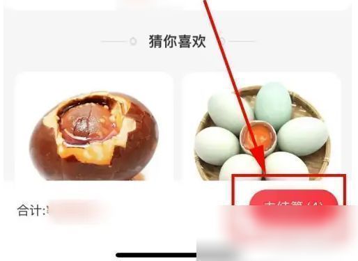 购物车结算页面,显示商品总价与立即支付按钮