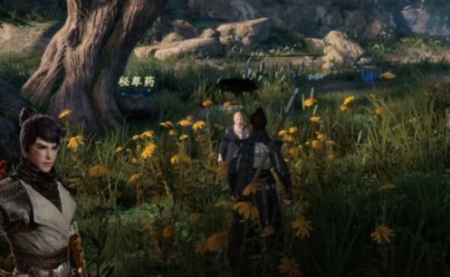 主角在太初剑宗内与NPC夏语岚对话的场景,背景为古朴的武学殿堂,两人立于石阶之上