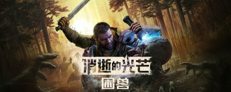 《消逝的光芒:困兽》游戏内武器兑换界面截图,显示玩家正在输入CDK码进行兑换操作