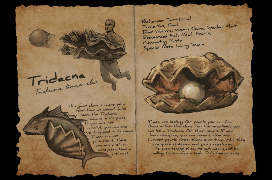 长砗磲生物设定图，展示其巨大贝壳与栖息环境