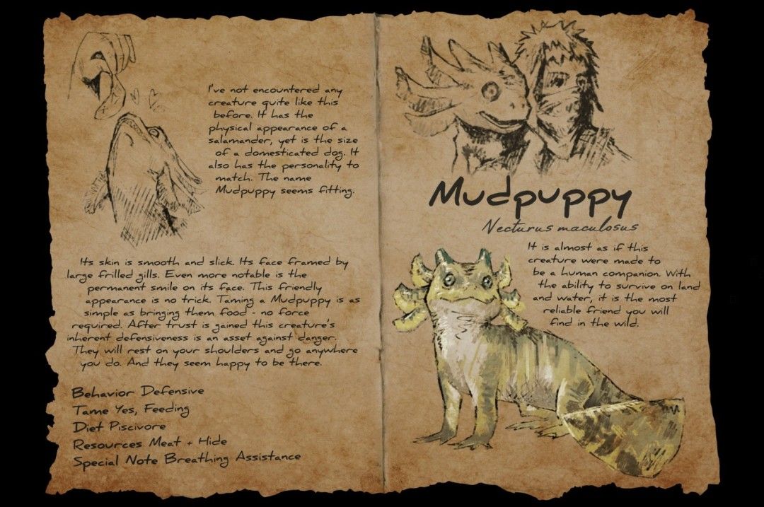 鲵灵犬生物设定图，展示其流线型身体与水中游动姿态