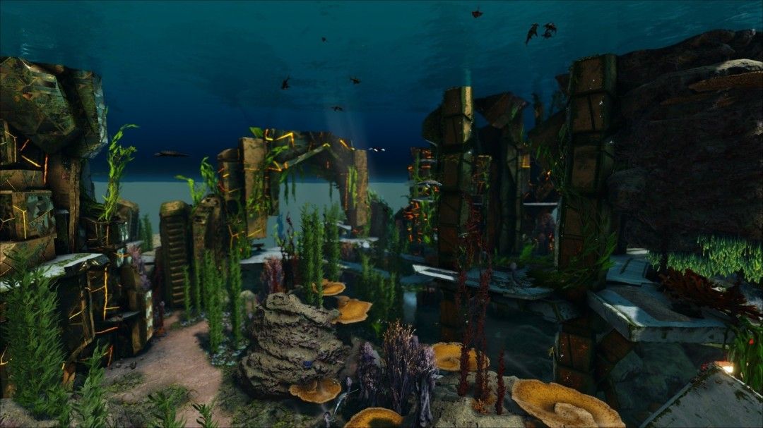 浅滩生态区实景图，展示明亮水域与缤纷珊瑚群落