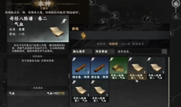 角色盘膝修炼神照经，体内真气流转，经脉中金色能量循环不息