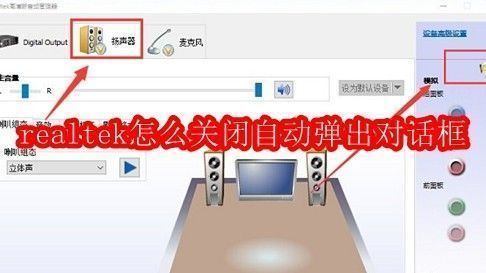 Realtek音频管理器界面示意图,展示软件主界面布局