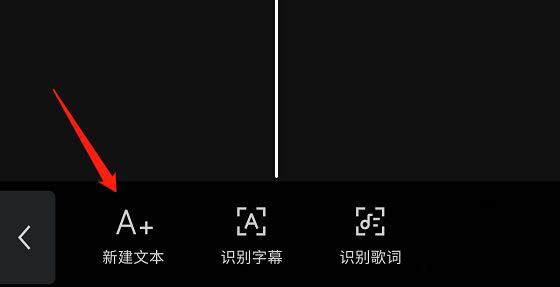 文字轨道已生成，显示在视频预览下方的时间轴上