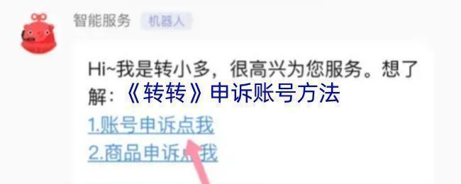 用户填写申诉表单的示意图,包含文字说明与附件上传区域