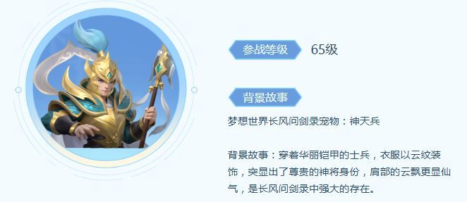 神天兵宠物属性面板截图,显示参战等级65级及基础属性