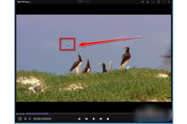 鼠标右键点击播放界面后弹出的上下文菜单,高亮显示‘选项’按钮