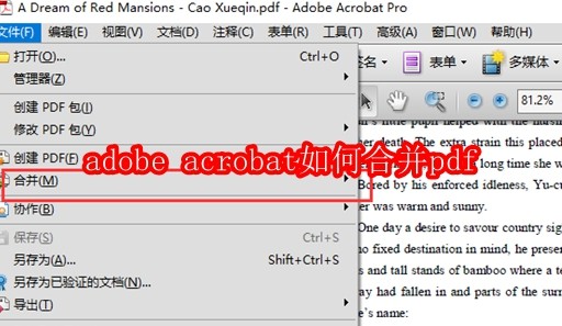 Adobe Acrobat主界面全景图,顶部菜单栏清晰可见,右侧为工具侧边栏,中央显示空白文档预览区,整体界面简洁专业