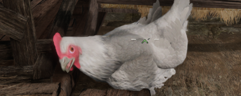 游戏主界面截图：阴郁雾霭笼罩的中世纪废土小镇，石板路尽头立着歪斜木牌写着‘南方之角’，背景中隐约可见一只羽毛泛青光的公鸡剪影