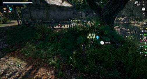 任务流程图解：凌君澈站在云鹤村竹林小径中央，头顶浮现金色对话框‘玄机已启’，地面标记发光坐标点与三条分支任务图标（星图、药篓、丹炉）