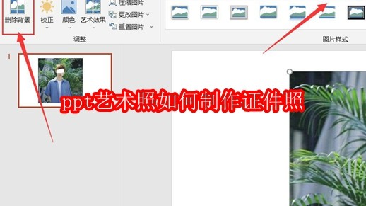 PowerPoint界面中展示一张生活艺术照被选中，右侧功能区高亮显示【格式】选项卡，界面简洁清晰，突出软件办公属性