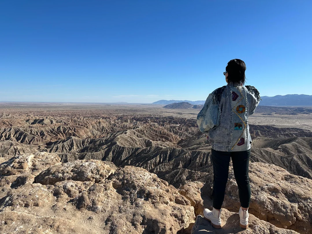 远景对比:同一角度拍摄的峡谷入口,实景照片中可见野生约书亚树轮廓,游戏预告中该位置精准还原了树形剪影与枝干分叉逻辑