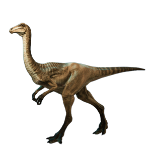 特写对比图:左侧雌性鸟脚龙羽色偏灰褐带浅纹,右侧雄性同种个体羽冠与尾羽呈现钴蓝与朱红渐变,神态更显昂扬