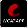 NCAT 纯净版 V1.1