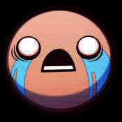 以撒的结合：重生 V2.13