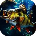欢乐钓鱼大师 iOS V1.2