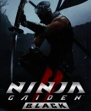 《忍者龙剑传2：黑之章》电脑版