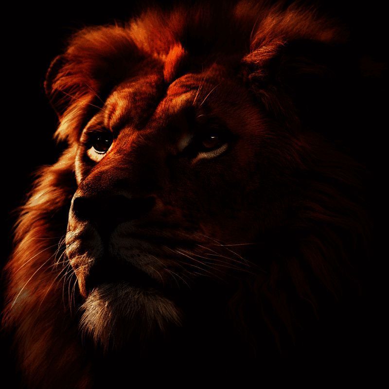 野兽领主：新世界 V1.0.10