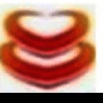 百望发票助手v1.0