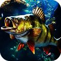 欢乐钓鱼大师 苹果版 V2.15