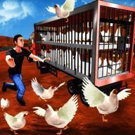 公鸡养殖场 V1.3