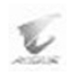 AORUS Graphics Enginev1.29