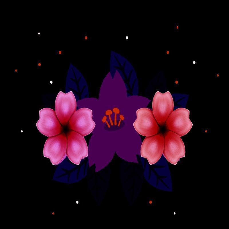 花樱动漫社 V1.1