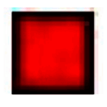 Diana记事日历本v51.15