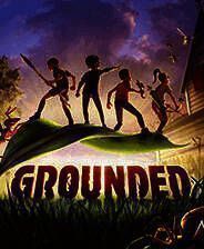 《禁闭求生》中文版