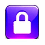 WinLock Professional