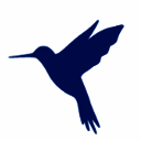 蓝鸟抓包 高级版官方版 V3.3.6