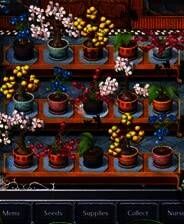 《花坊大亨》英文免安装版