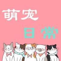 萌宠日常 V1.0.2