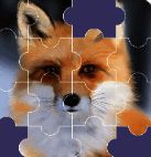 拖一拖拼图 安卓版 V1.0.0