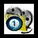 枫叶RM/mp4格式转换器v10.8.0