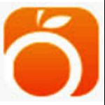 桔子一键重装系统v3.0.0.0