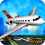 仿真飞机驾驶 最新版 V1.0