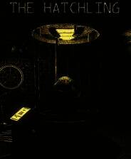 《孵化体》电脑版