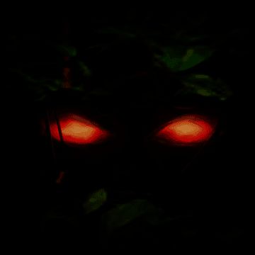 生存：失落的世界 V1.4