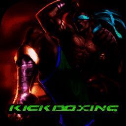 真正的跆拳道搏斗 V1.1