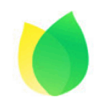 飞火动态壁纸v2.2.2.2