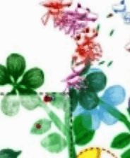 《飞生》简体中文免安装版