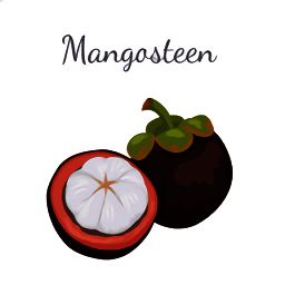 山竹社区 官网下载 V3.4.1