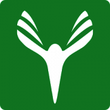 云艺术人 V1.11.7