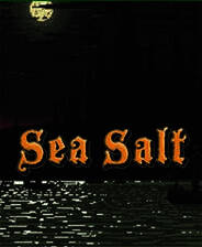 《Sea Salt》Steam正版分流 简体中文版